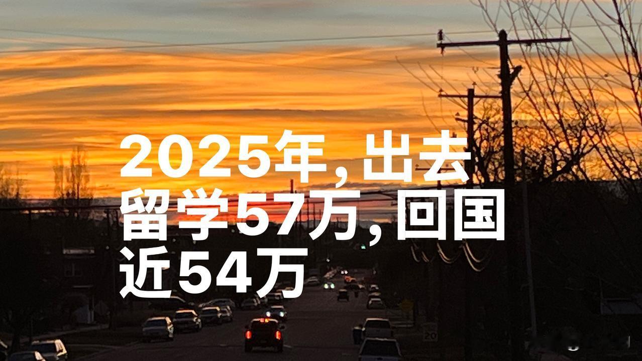 2025年，看到出去留学57万，回来53.56万，这说明啥？说明留学，已经不