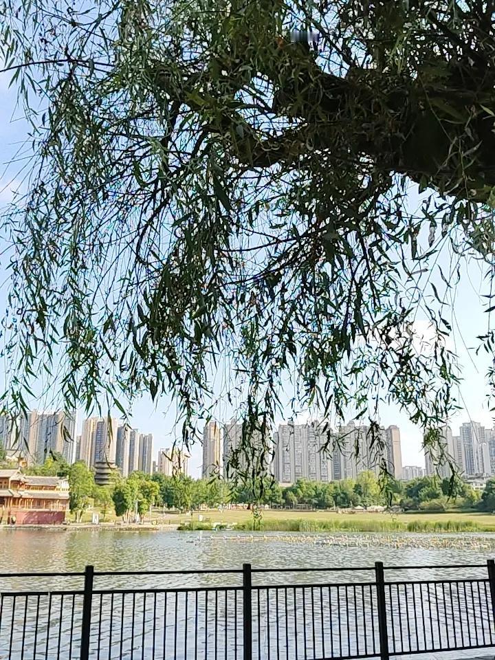 怎么会判断政策底和市场底，有一个简单的方法！就是去看国家队和机构的操作！如果国