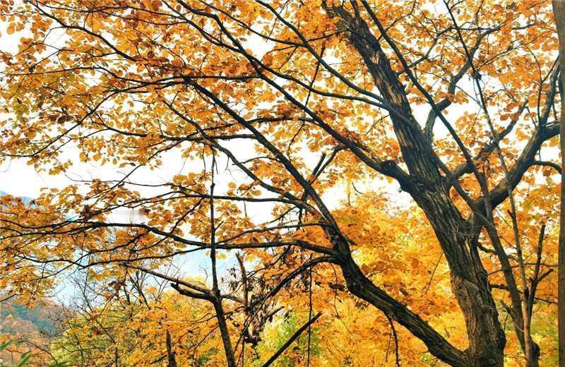 老一辈存钱，不是为了自己享福，是怕孩子以后饿着。三四线城市，老头老太太天天掐