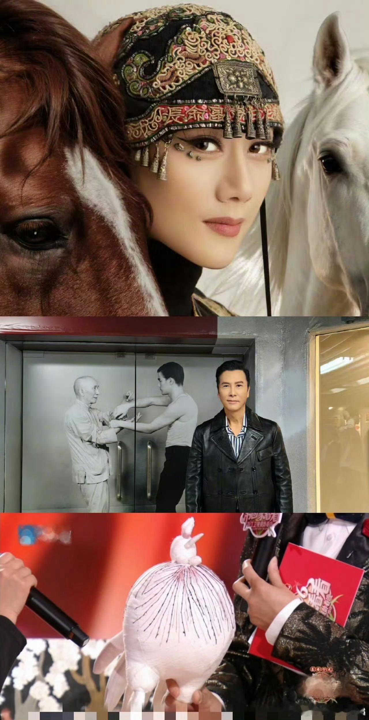 杨丽萍甄子丹争相收藏一只鸡杨丽萍收藏第一只的时候我就知道这只鸡不一般，果然甄子