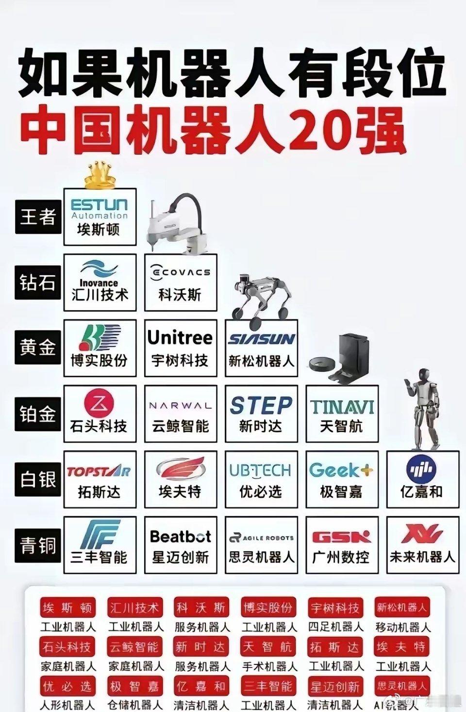 中国机器人20强，比段位还有比宇树科技更强的。像埃斯顿、汇川、科沃斯、博实