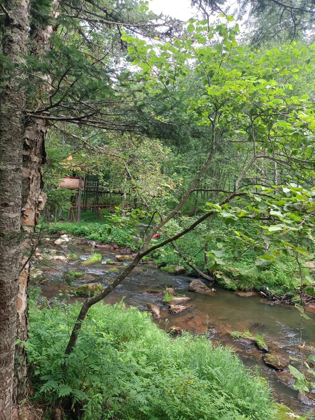 这个月工资扣了这么多税？简直不让人过了！我在事业单位工作，属于基层工作人员