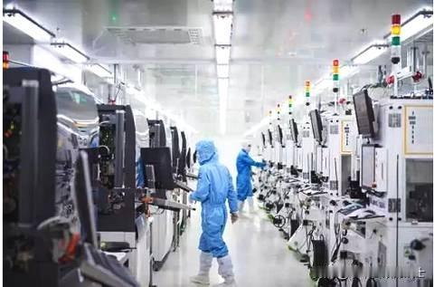 近日，荷兰政府宣布暂停荷经济大臣根据《货物可用性法案》签发的行政令。荷兰政府