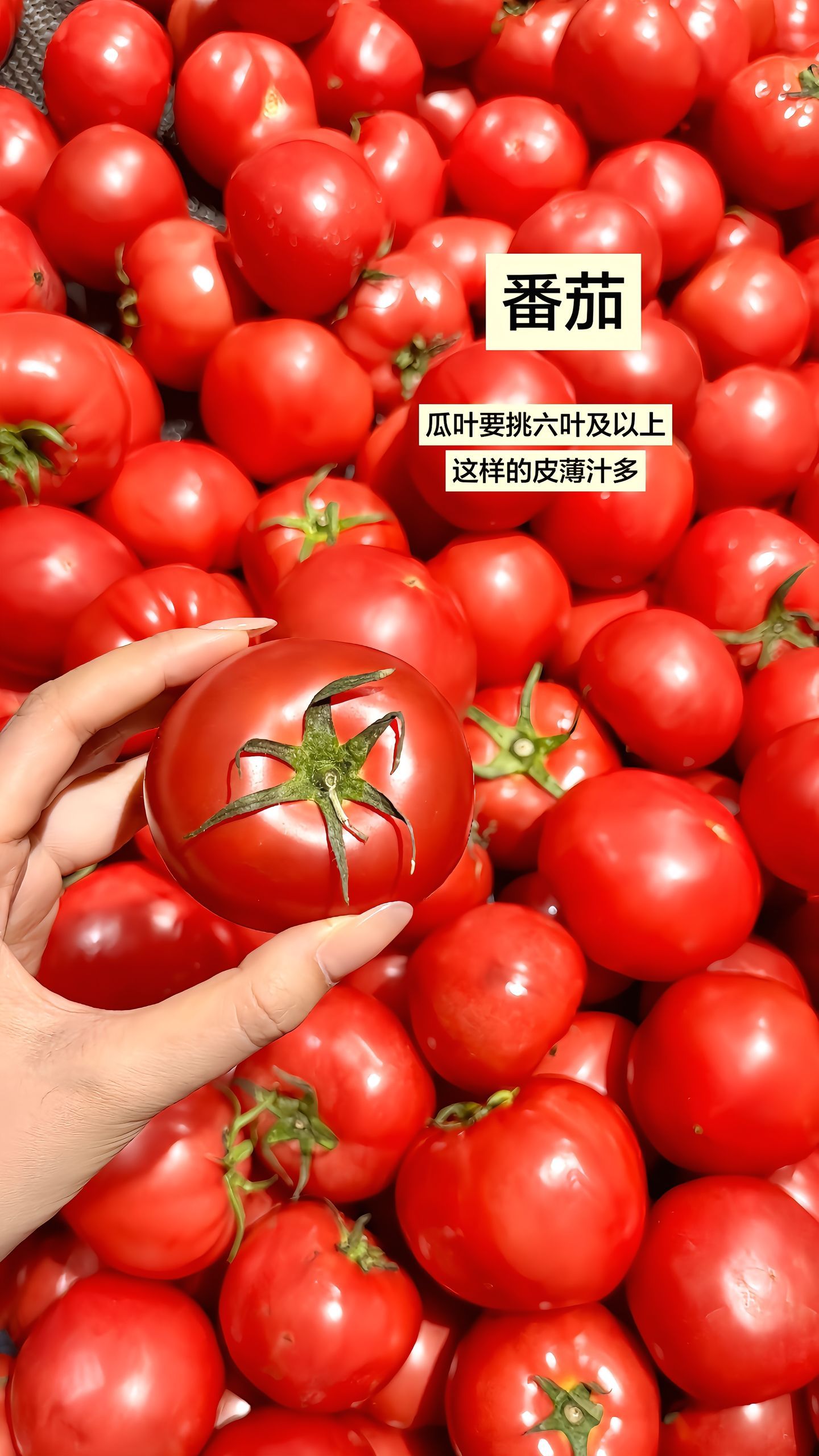 真正的青年大学习，祝大家都买到新鲜好吃的菜