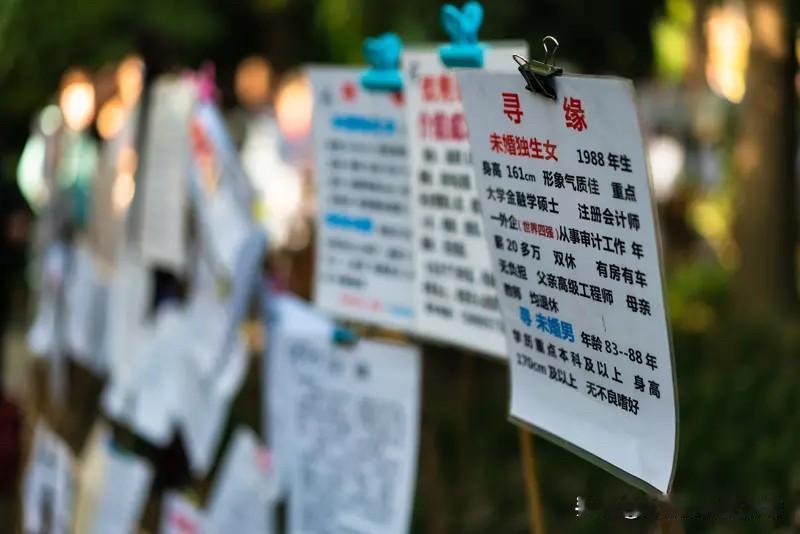 双标“人生”：大龄剩女不愿正视的真相与大龄单身女性接触久了，会发现一个颇为有趣