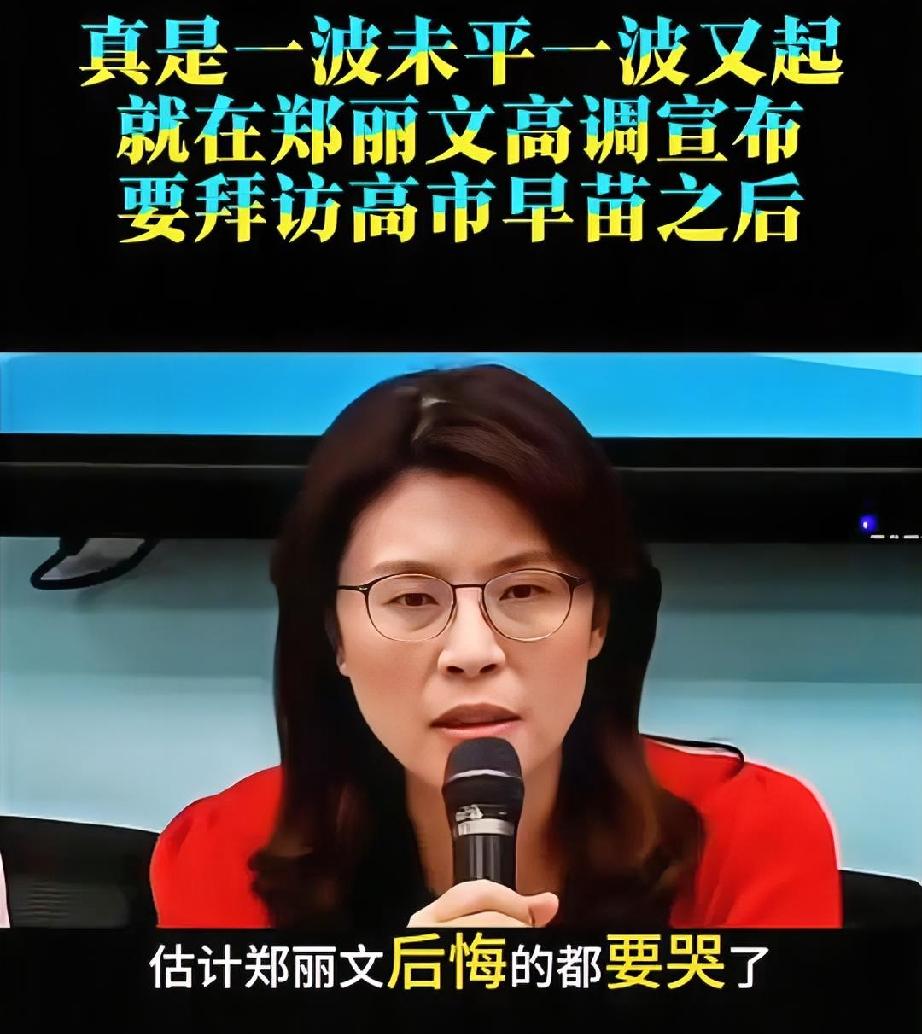 看郑丽文现在的处境，她的肠子大概率是真悔青了。不管事后怎么找补，真心也好，假意
