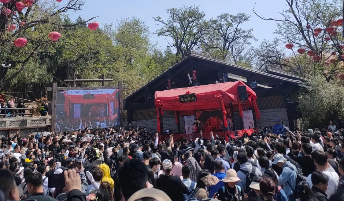 吃瓜到王婆说煤哈佛女博士女主和硕士男主。女主之前在社交账号发了不少相亲信息，说