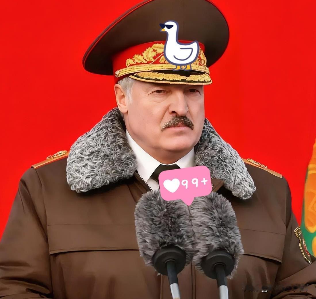 快报✓白俄罗斯出手了！11月4日，白俄罗斯立法禁止波兰和立陶宛注册的货运车