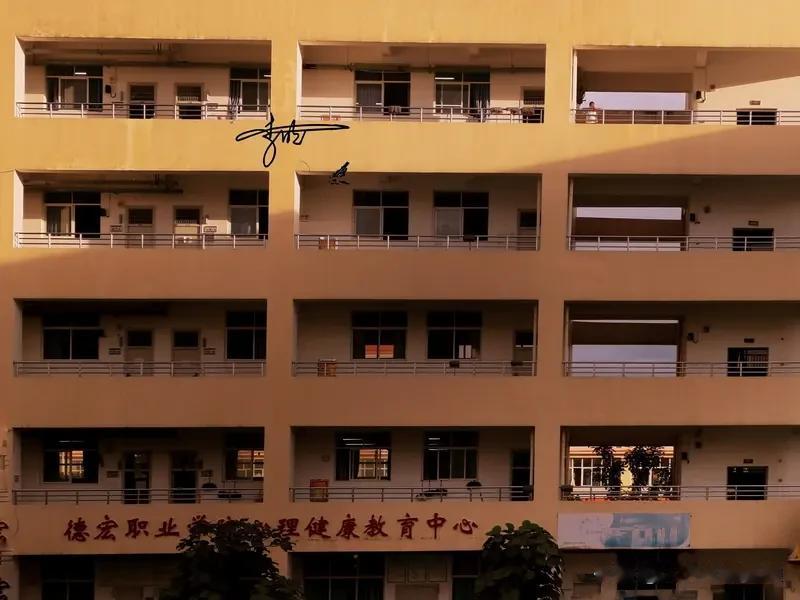 中专和大专变迁史：八十年代，职高和中专是两个东西，职高不看成绩随便上，中专是要考