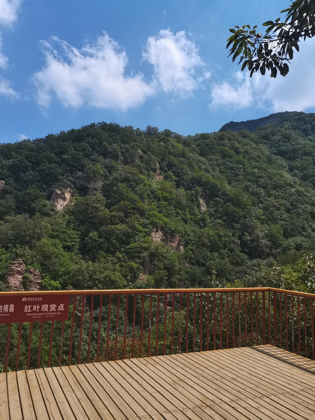 看见妻子在揍儿子，没理他们。径直走到厨房，看见小矮桌上煮好一锅馄饨，于是