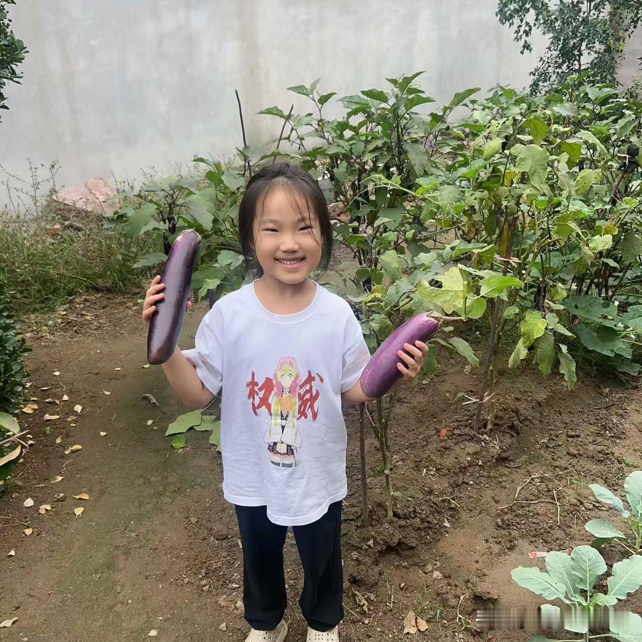这个菜园子不大，却是一家人的生活基地，让我们每年都有时令蔬菜可以吃的，自己动手种