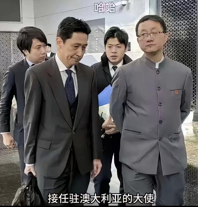 这是去年的照片，摄影师的抓拍还是很到位的，一看就知道是专业的。