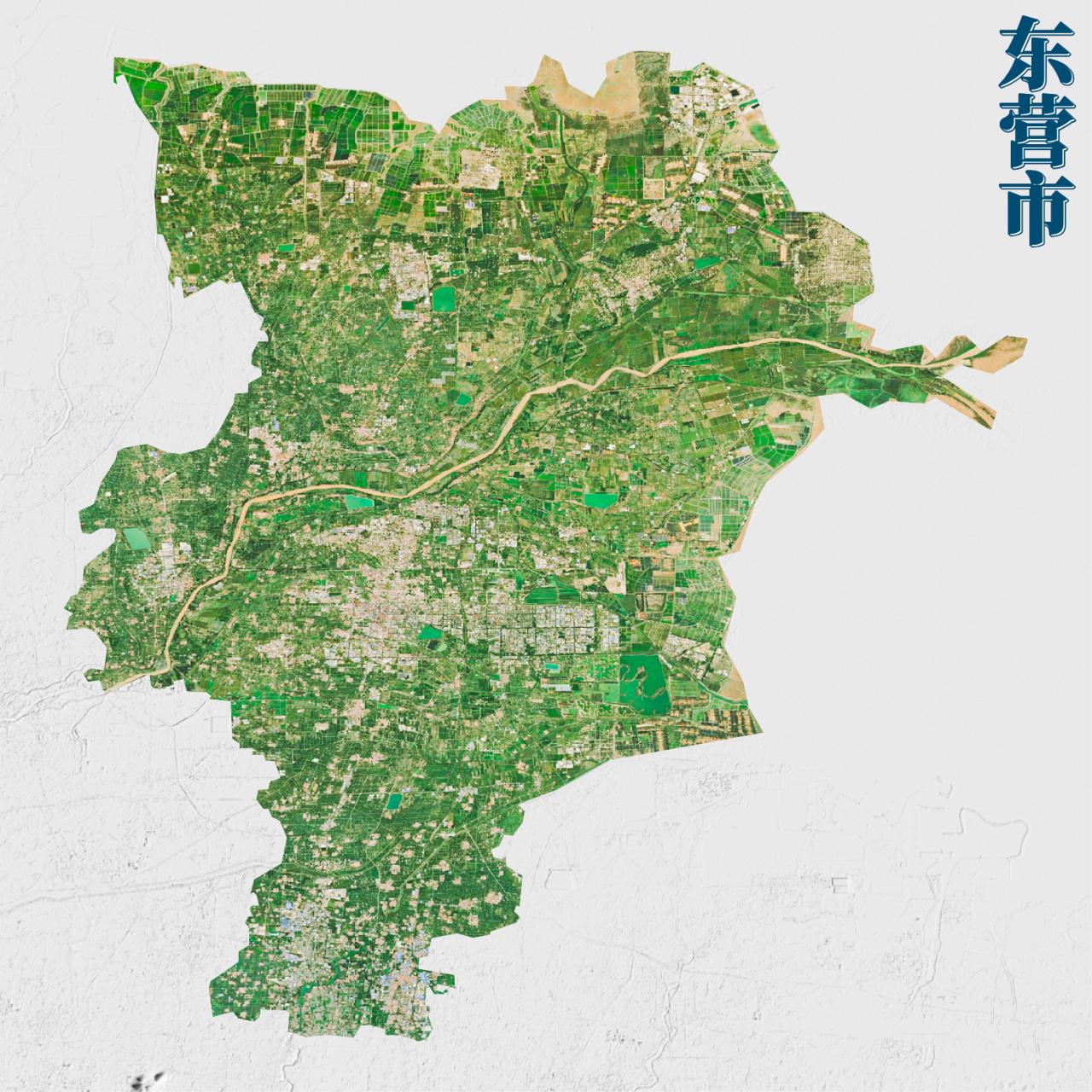山东境内没有山的地市只有东营和德州了吧。这俩城市都是黄河下游冲积平原，全境没有