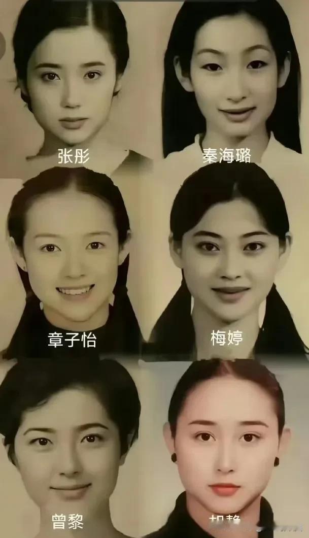中央戏剧学院96级学生证件照，分别是张彤、秦海璐、章子怡、梅婷、曾黎、胡静。请问