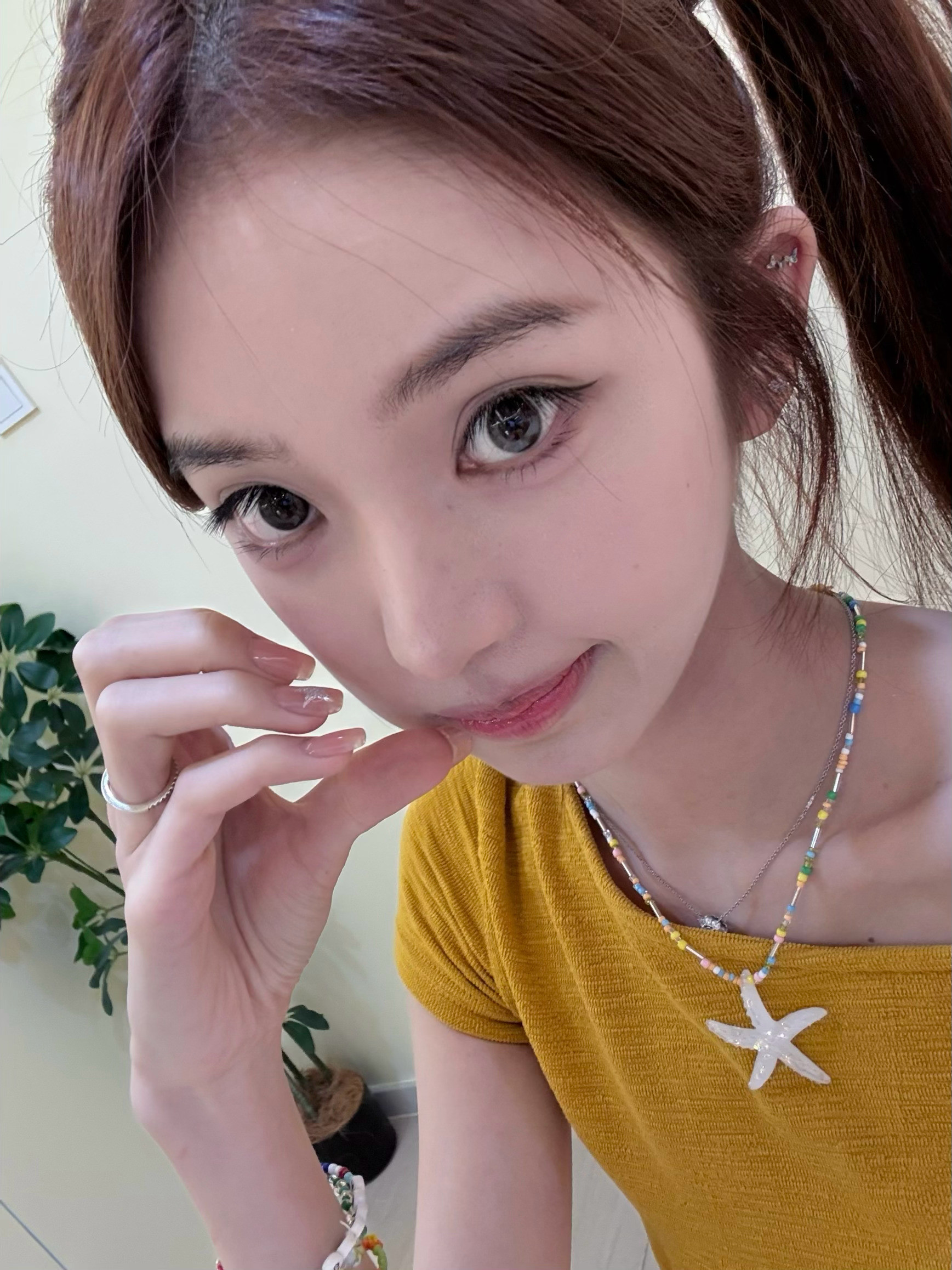 🐰​​​