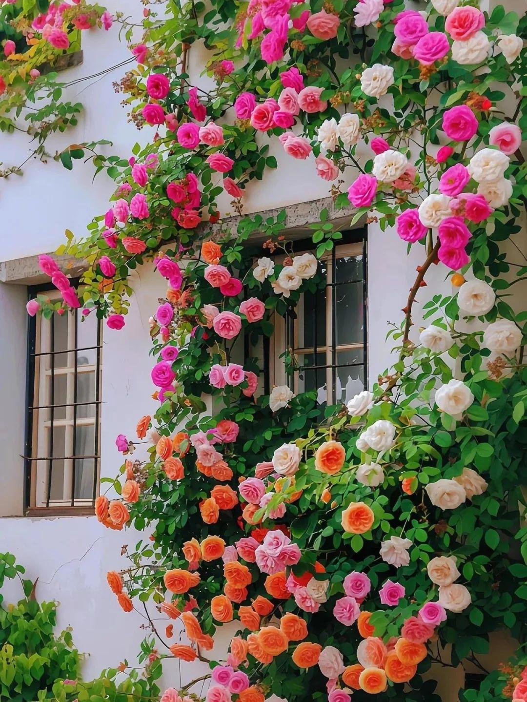 昨天遇到一位苏州的学生家长，问我苏州有没有老师。实际上，不只是苏州，上海、杭州、