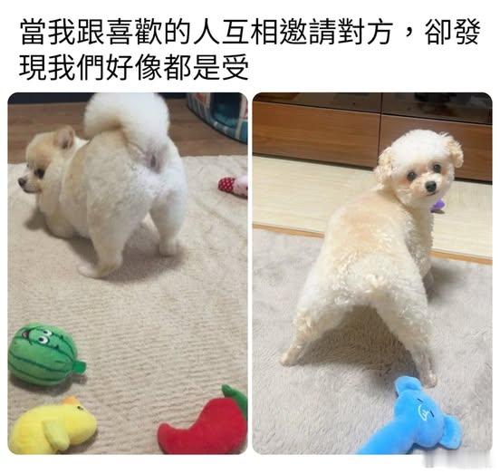 都是受memes迷译图