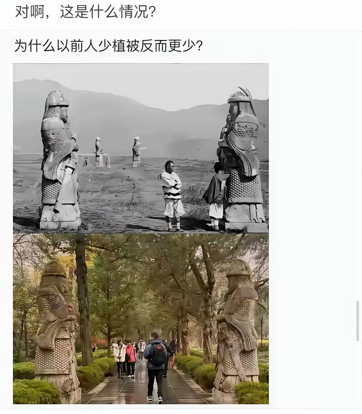 现在终于知道柴米油盐，柴为什么排在第一位。不要说是古代，七八十年代