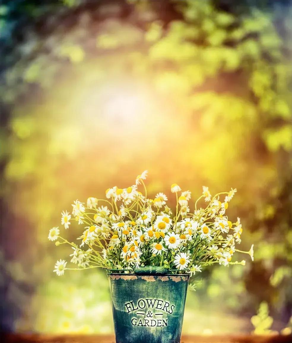 邻居全款165万在小区又买了一套房。邻居说，儿子已经25岁了，原来的房子