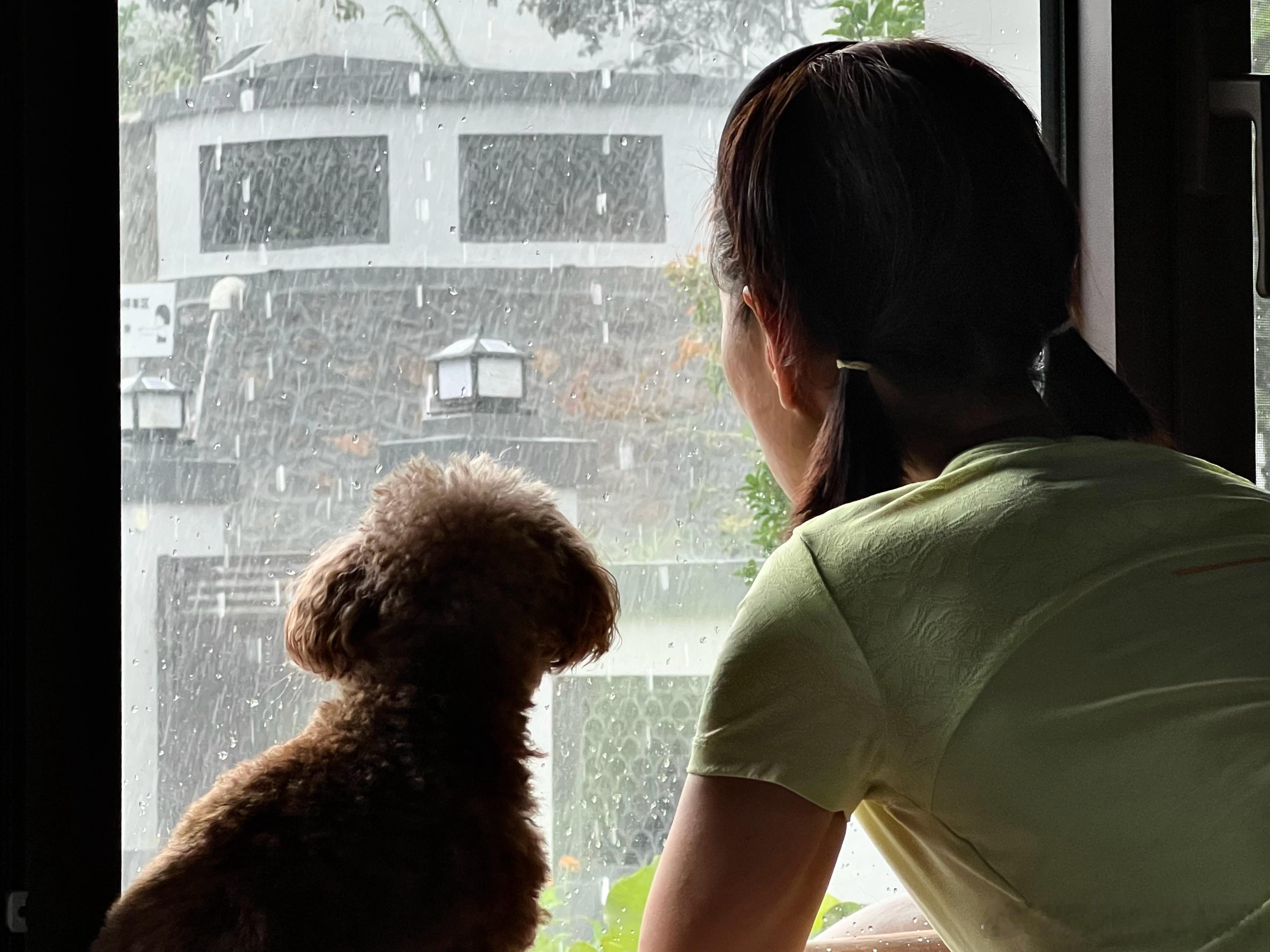 午后，山里下起瓢泼大雨，汹涌澎湃的雨水打在屋顶，顺着屋檐像瀑布一样落下，Dais