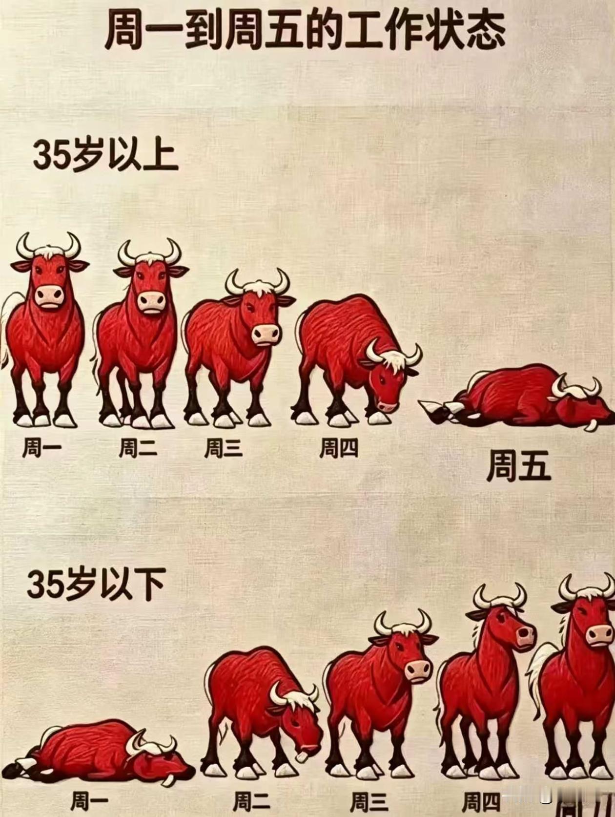 你现在是什么状态？