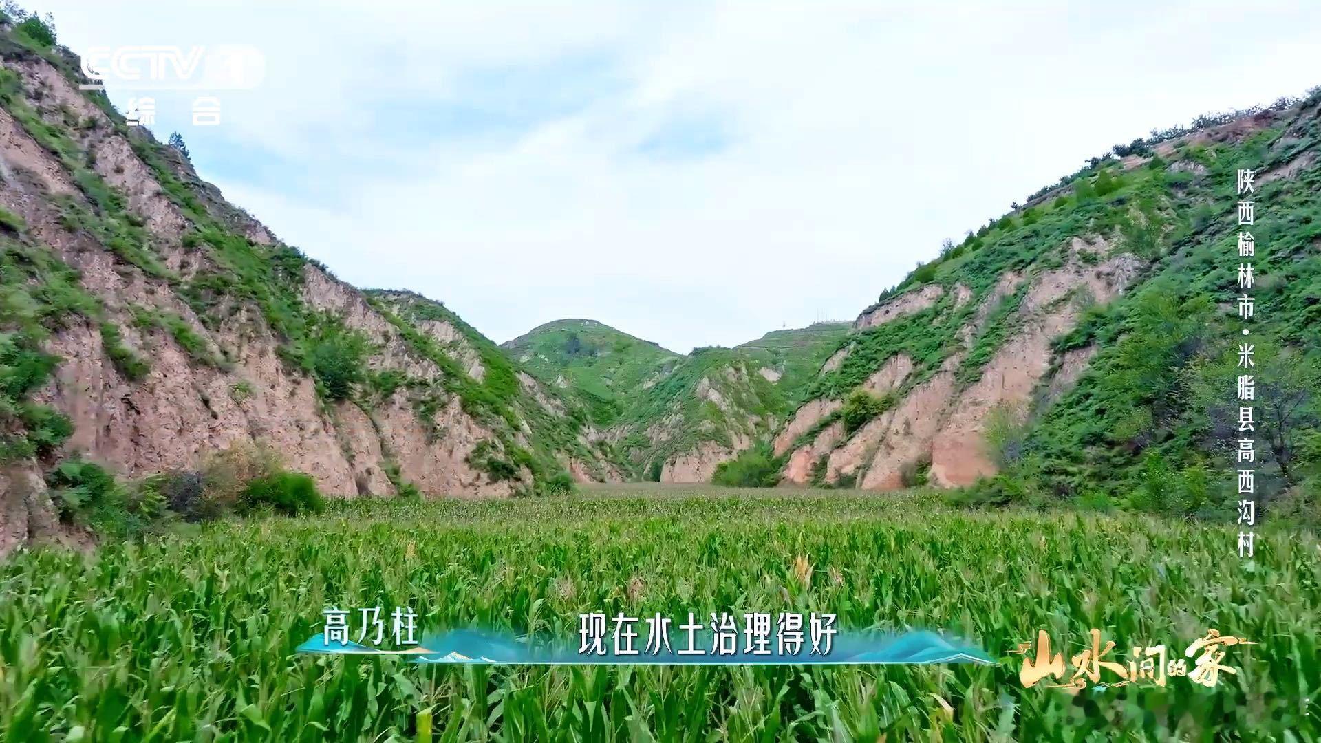 黄土高原变绿了黄土高原成了抹茶千层模样！曾经苍黄之地，如今绿意盎然，震撼无比。这