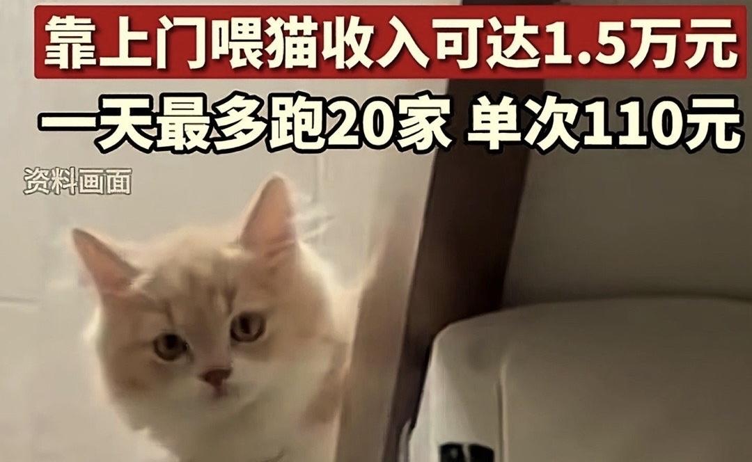 最近杭州有个姑娘小黄火了——她过年期间兼职上门喂猫，两个多星期跑了150多次，赚