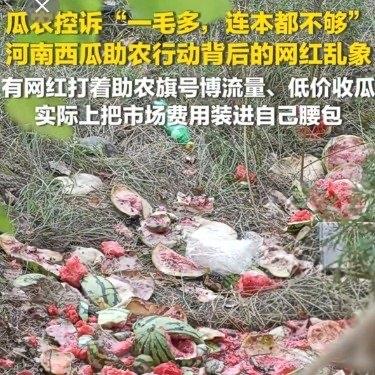 刷到河南西瓜滞销的消息，本来挺暖心的，各地都在想办法帮瓜农卖瓜，还有地方直接组织