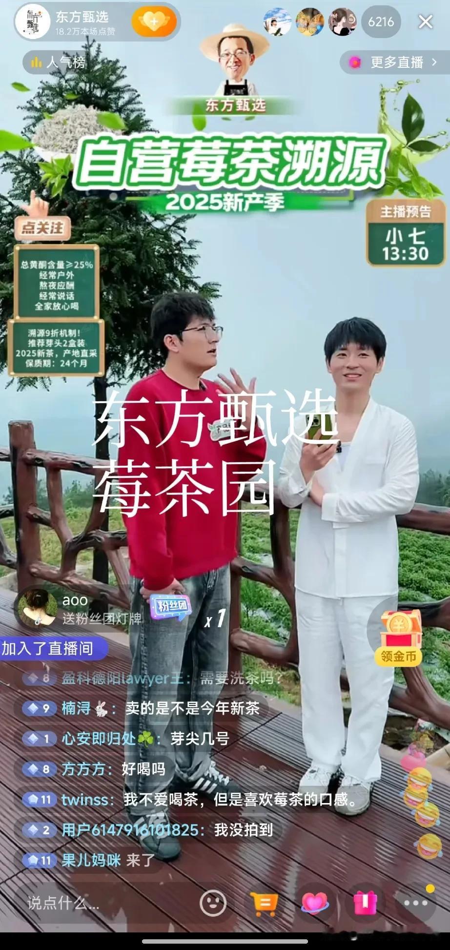 东方甄选自营莓茶园[比心]好美的茶园呀！绿油油的茶园，让人眼前一亮，绿色是春天