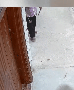 大妈的歹毒，你看懂了吗？大妈每天趁着邻居上班家里没人的时候，就用锥子，把邻居