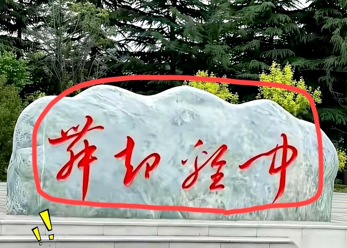 20几个大活人，加起来好几百岁，今天愣是被一块石头集体“按在地上摩擦”了智商。
