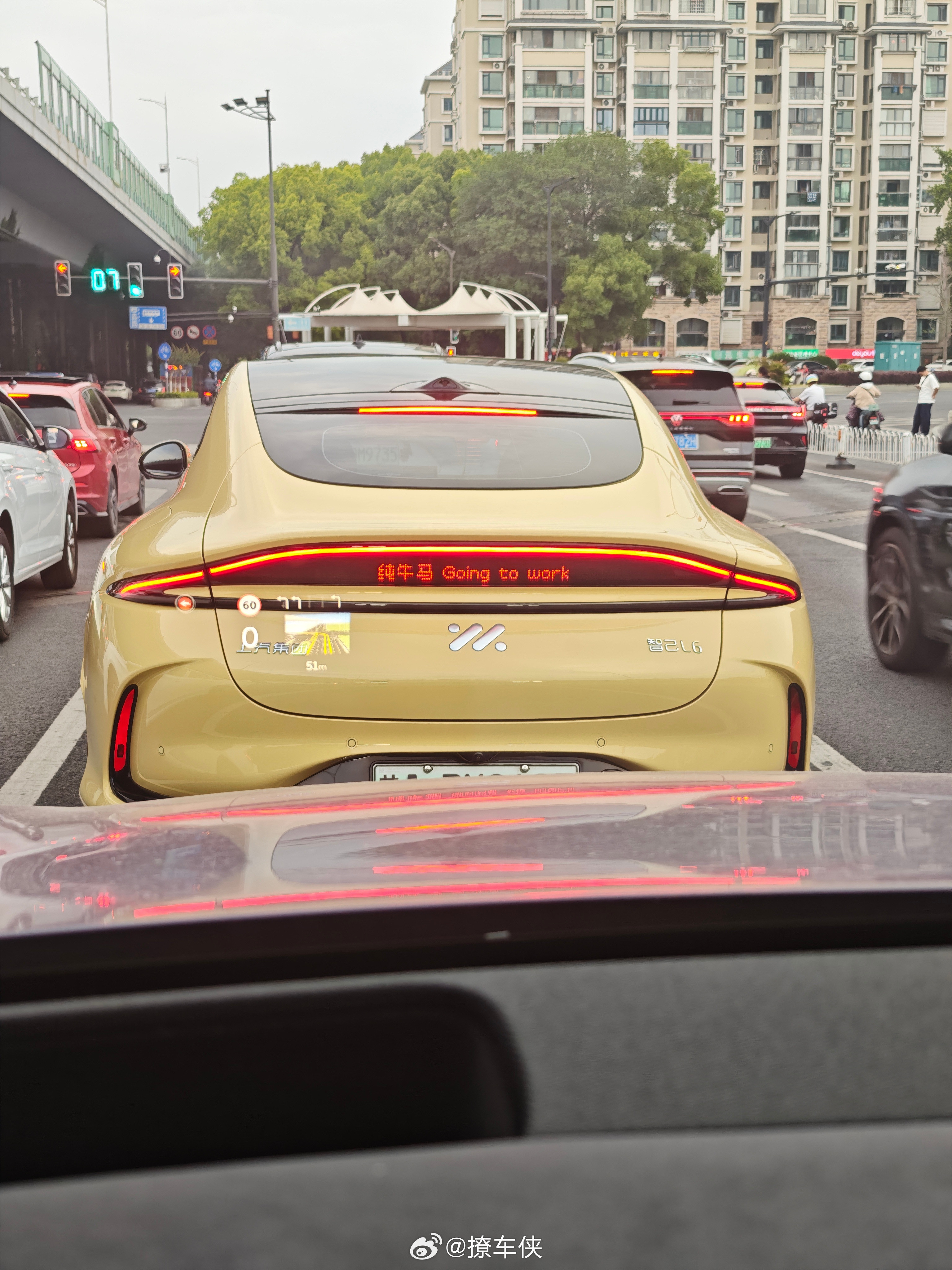 车屁股上的文字是特地打给我看的吗？[吃瓜]我与汽车的日常​​​