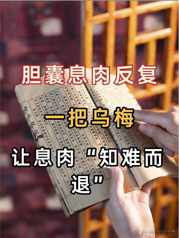 胆囊息肉反复？一把乌梅，让息肉“知难而退”！上个月接诊了一位被胆囊息肉折磨