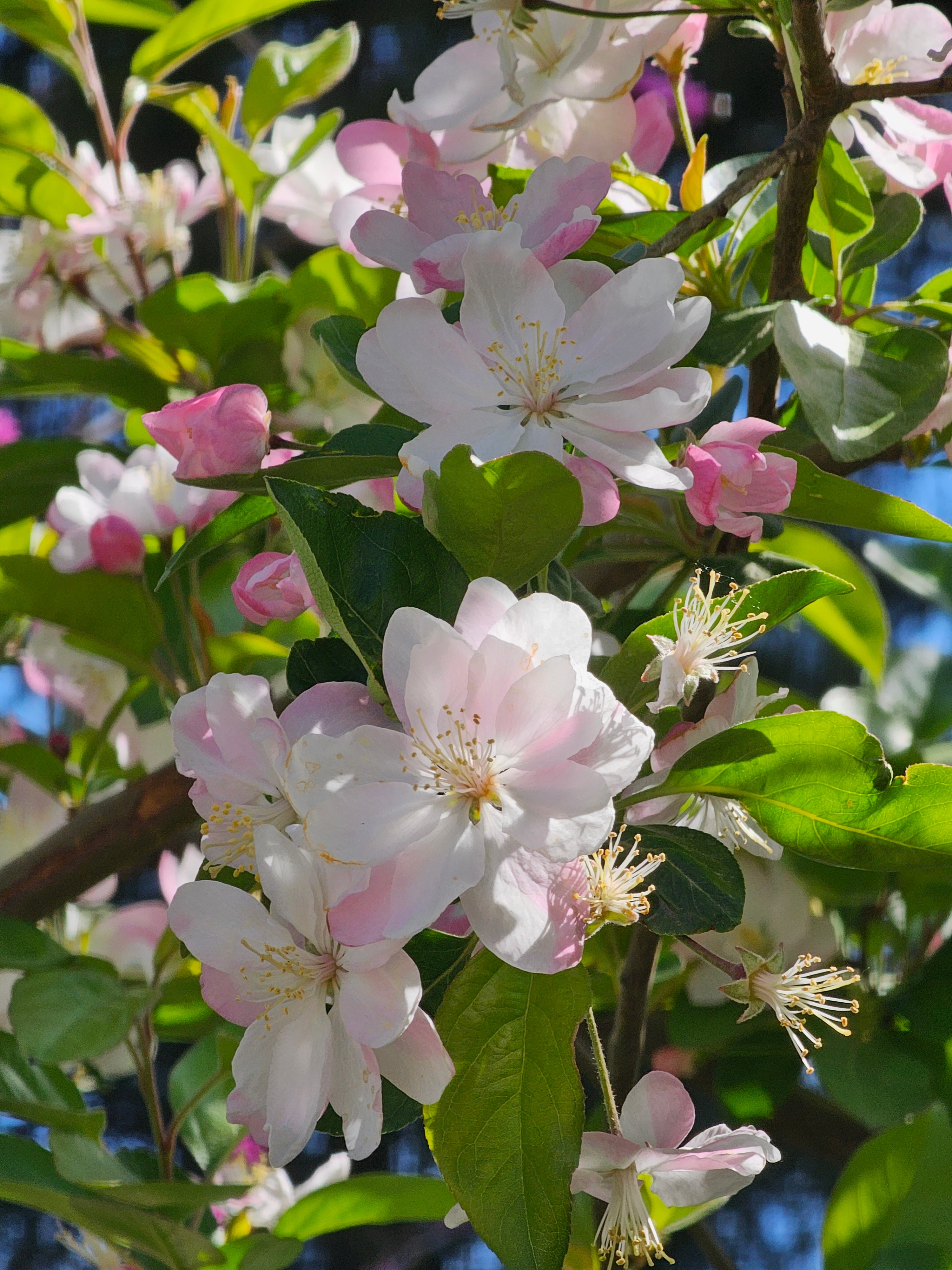 这么好的天气，可惜没带相机