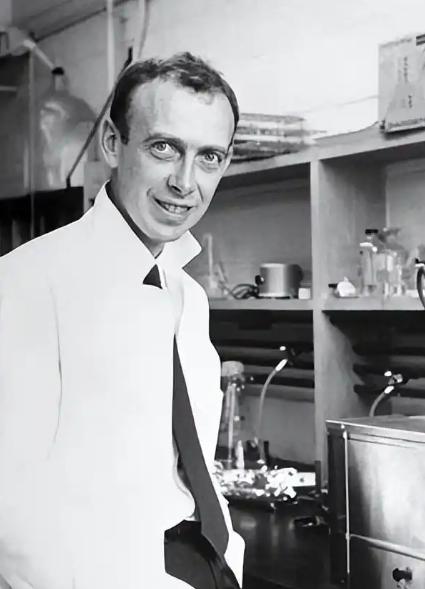 2007年，“DNA之父”詹姆斯·沃森在研究DNA结构时断定，黑人属于未进化人种