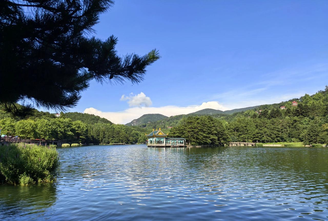 “庐山天下悠”！行程的第二天前往庐山，玩儿了一天半。5A景区，管理规范，服务优质