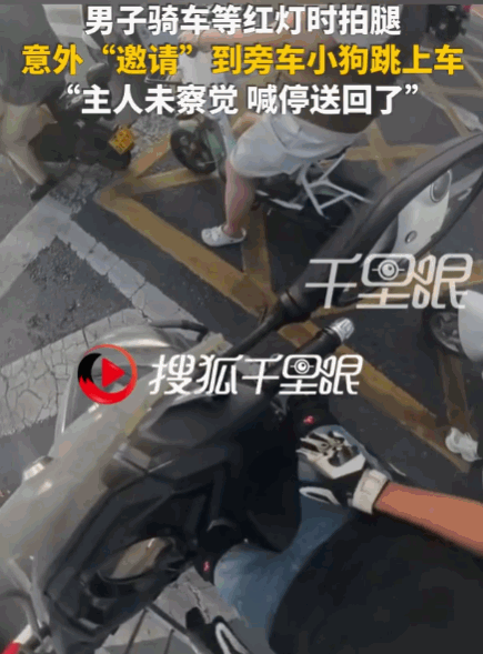 拍腿就是暗号！河南，一男子骑车等红灯，因天气炎热，他下意识地拍了拍大腿。没曾想，