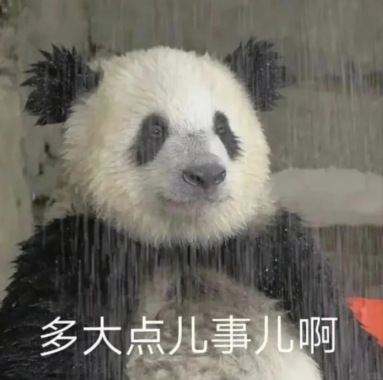 月入过万年薪也才12万看着月入上万挺风光，一年到手能攒得下多少…