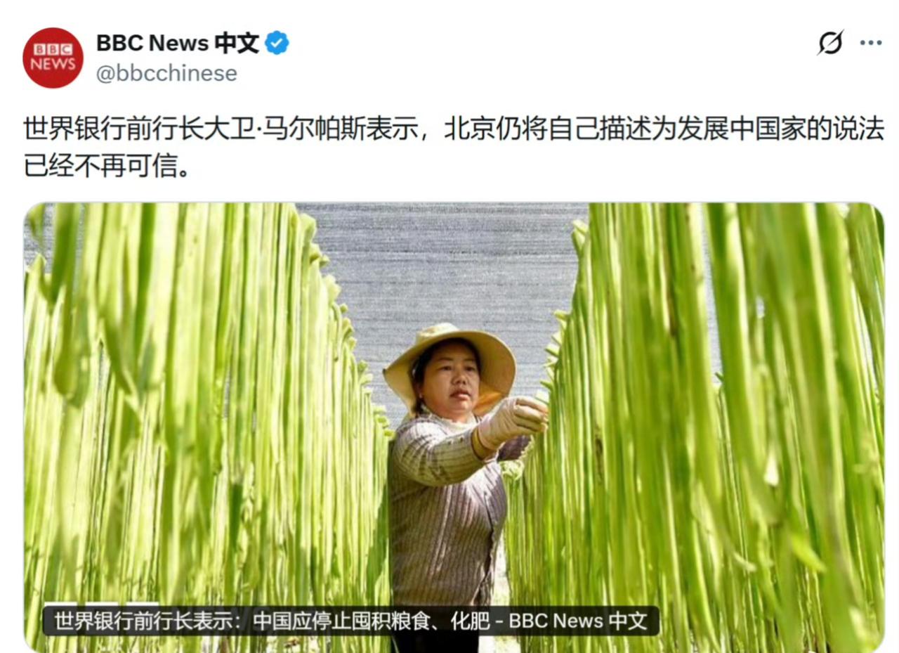 BBC：世界银行前行长大卫·马尔帕斯表示，北京仍将自己描述为发展中国家的说法已经