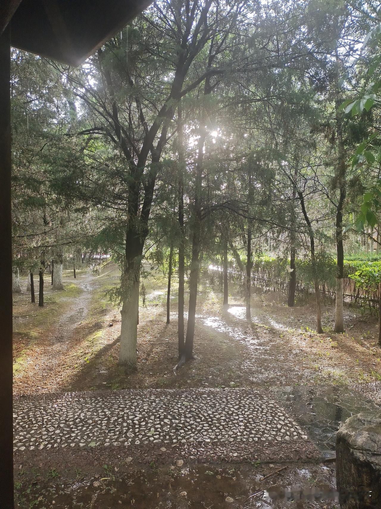 “我是普通大学本科！在北京工作！本来想着如果能在北京嫁个北京户口的是最好的。不行