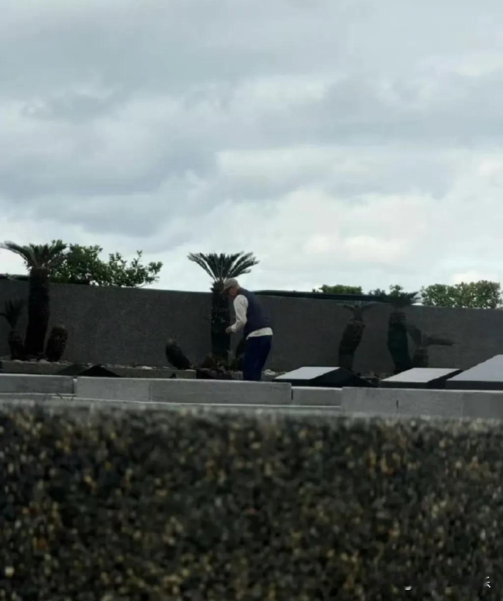 大S没有爱错人，元旦第一天具俊晔就来守墓，马上就到了大S的忌日，他把墓碑擦的干干