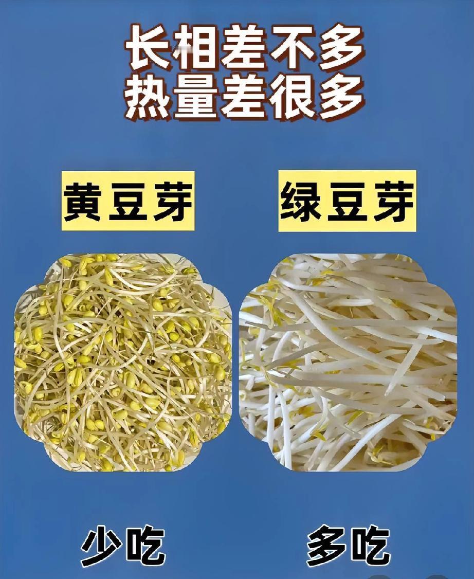 豆芽又上热门话题了！医生发现糖友经常吃豆芽，竟然有8个意想不到的改变，最后一个变