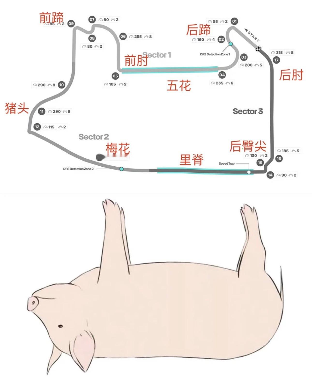 一张图迅速认识F1拉斯维加斯赛道🐷