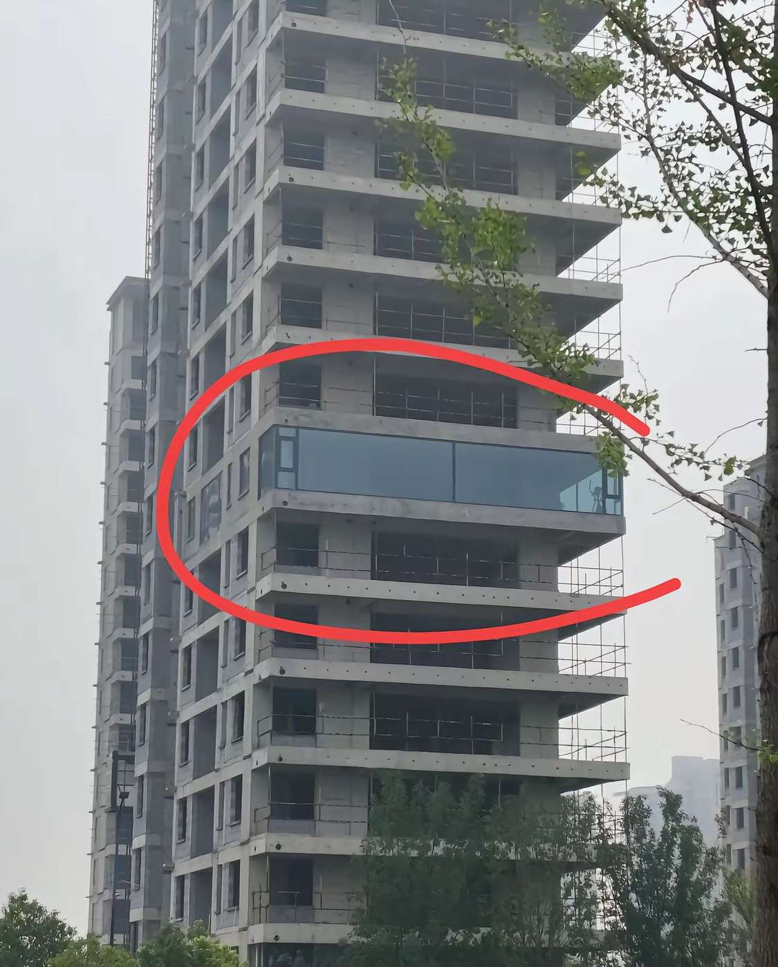 满心期待的来看房为什么还没建好呢，窗户先装上了这家？？我是不是也能装修了？