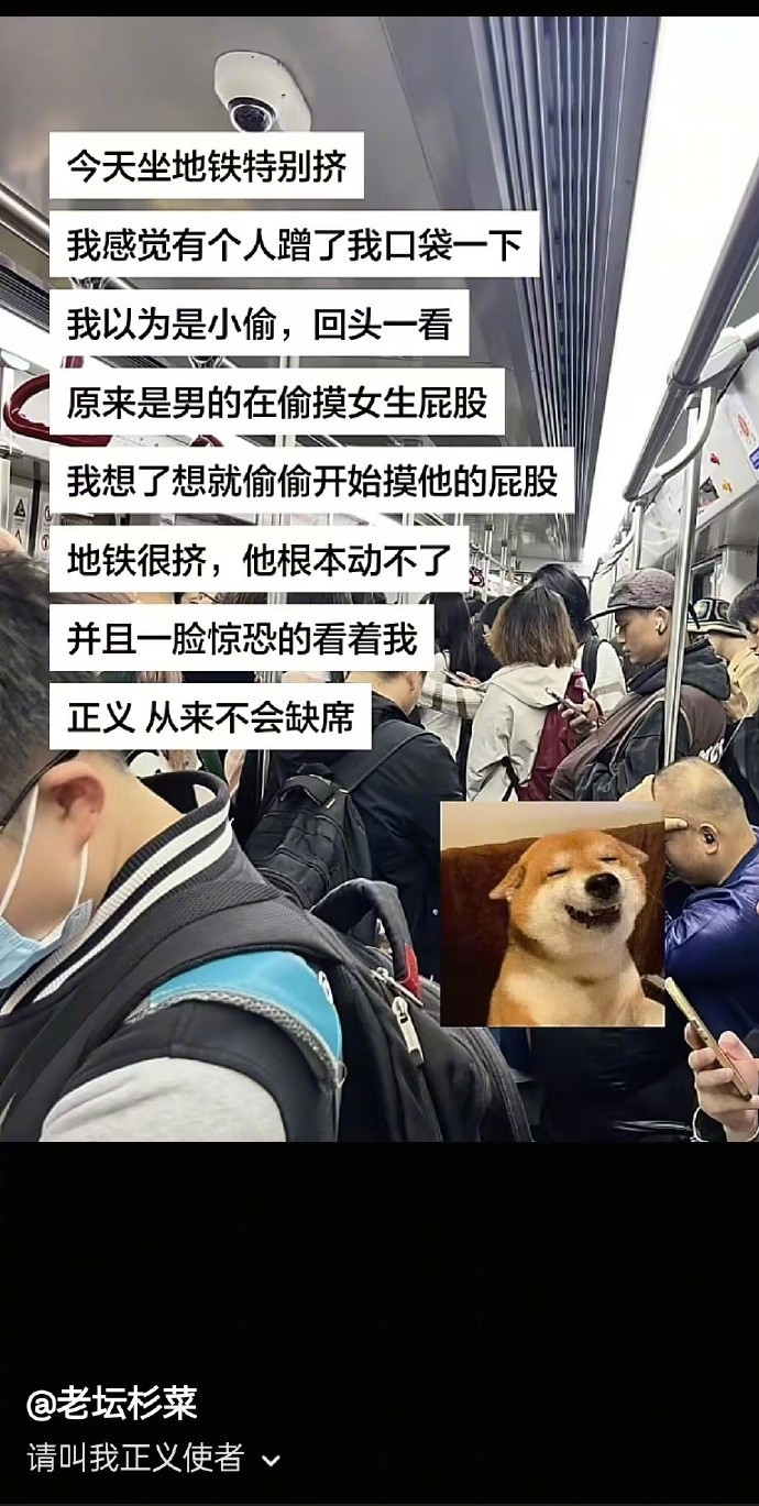 杉菜，永远是正义的杉菜！