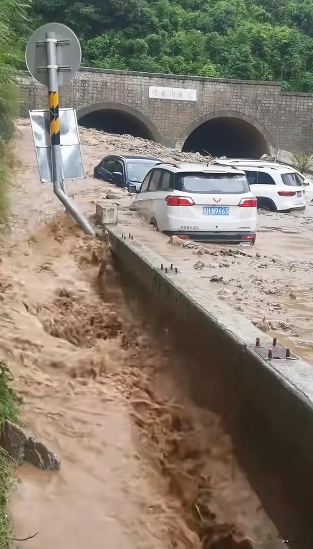 高速公路隧道口突发泥石流多车被冲击困住无法脱困，官方称无人员伤亡。事发2026年