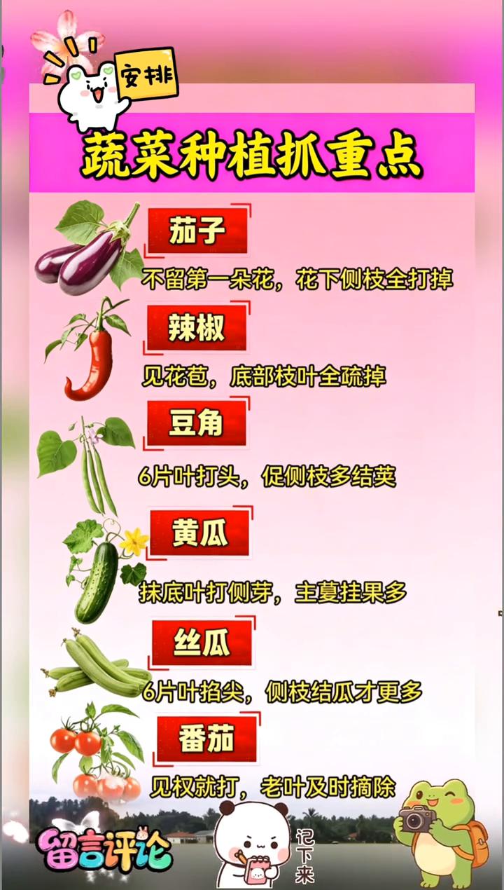 蔬菜种植抓重点。·茄子：不留第一朵花，花下侧枝全打掉。见花苞，底部枝叶全疏掉。