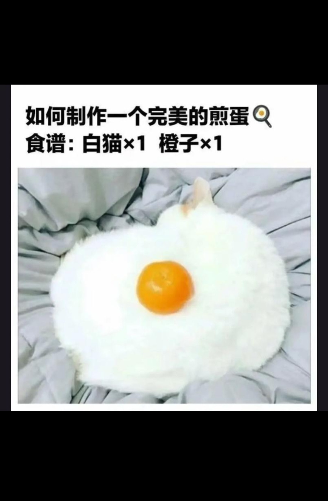 确实挺像的，哈哈