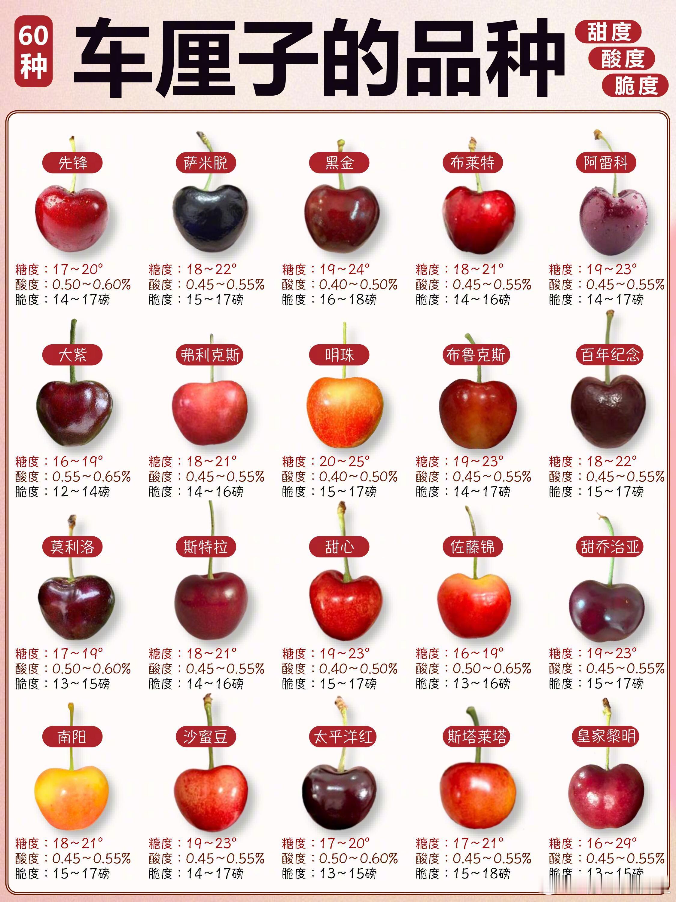 一年一度车厘子季来啦！60种车厘子的甜度酸度脆度大全🈶快来🐴住！