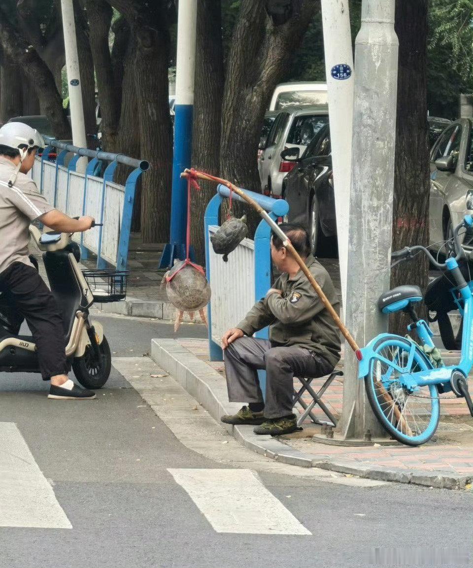 #石家庄互动#【注意！石家庄街头骗局！】网友：在石家庄新华路路口有挂鳖的人，在路口试图诈骗路过的行人
